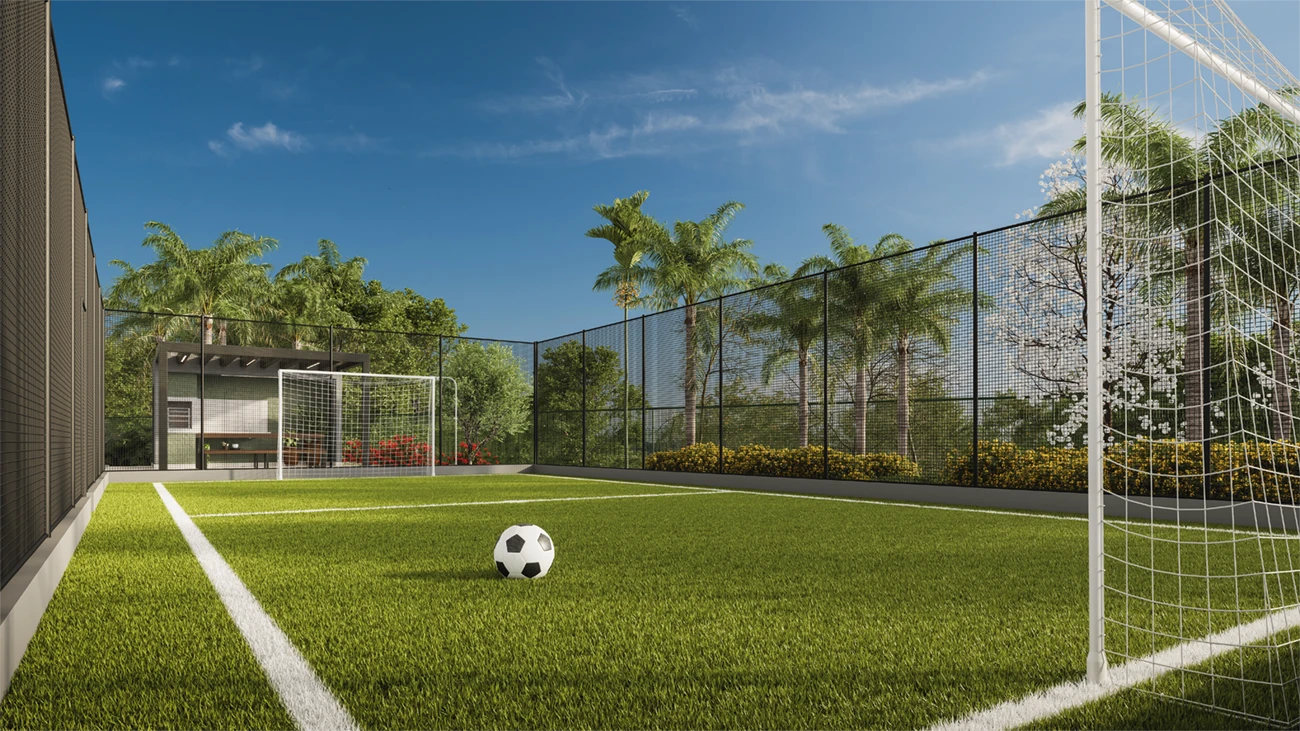 CAMPO GRAMADO
